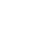 Burton snowboards logo